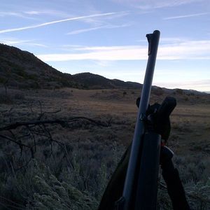 Meet your Posher, Bill